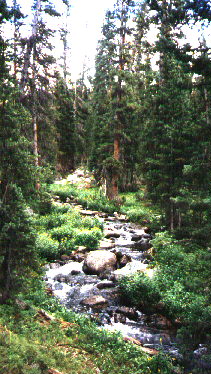 A stream feeding Thunder Lake .jpg