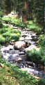 A stream above Thunder Lake - link